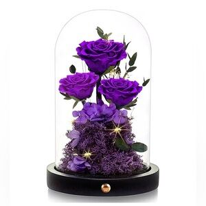 BRAND NEW Agrul Valentines Day Flowers Roses,Real Preserved Roses in Glass Dome